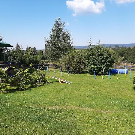 Haus Rehblick Fewo-Eg-1 Санкт-Андреасберг Екстер'єр фото